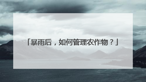 暴雨后，如何管理农作物？