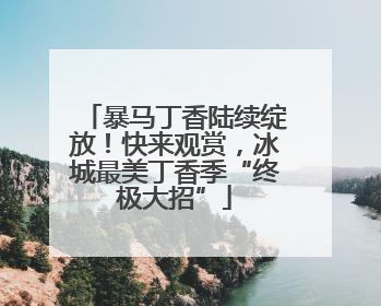 暴马丁香陆续绽放！快来观赏，冰城最美丁香季“终极大招”
