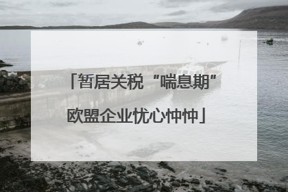 暂居关税“喘息期” 欧盟企业忧心忡忡