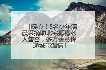 暖心！5名少年清晨采摘助北宅孤寡老人售杏，多方善意传递城市温情