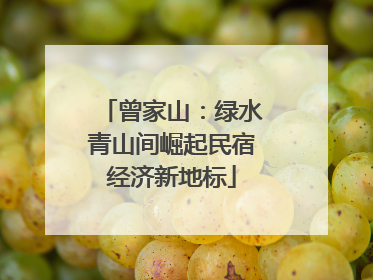 曾家山：绿水青山间崛起民宿经济新地标