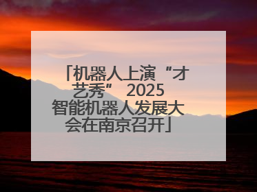 机器人上演“才艺秀” 2025智能机器人发展大会在南京召开
