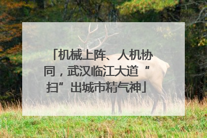 机械上阵、人机协同，武汉临江大道“扫”出城市精气神