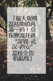 最大规模荔枝助销再添一码！京东物流开通“深圳-武汉-西安” 荔枝全货机航线