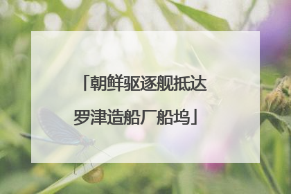 朝鲜驱逐舰抵达罗津造船厂船坞