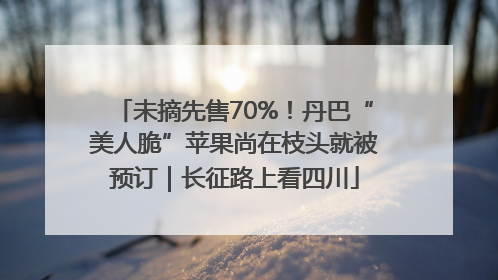 未摘先售70%！丹巴“美人脆”苹果尚在枝头就被预订｜长征路上看四川