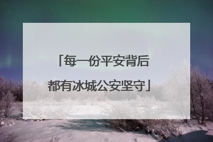每一份平安背后 都有冰城公安坚守