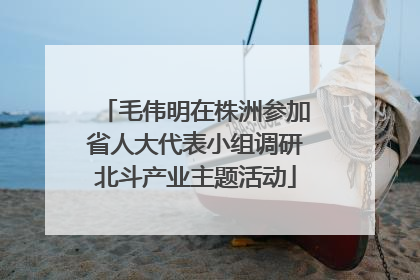 毛伟明在株洲参加省人大代表小组调研北斗产业主题活动