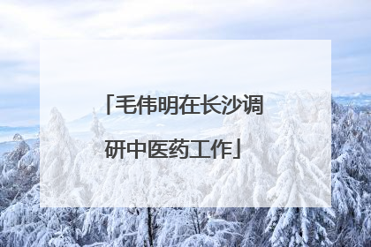 毛伟明在长沙调研中医药工作
