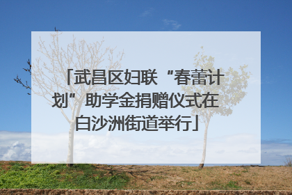 武昌区妇联“春蕾计划”助学金捐赠仪式在白沙洲街道举行