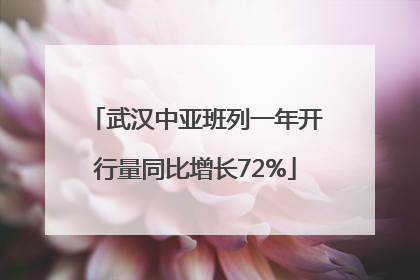 武汉中亚班列一年开行量同比增长72%