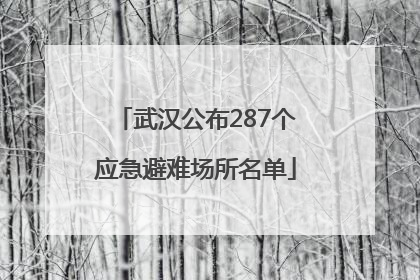 武汉公布287个应急避难场所名单