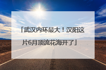 武汉内环最大！汉阳这片6月顶流花海开了