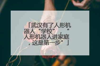 武汉有了人形机器人“学校”，“人形机器人进家庭，这是第一步”