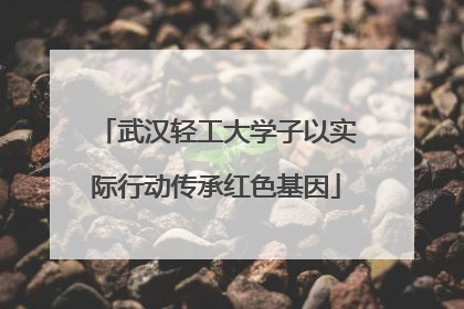 武汉轻工大学子以实际行动传承红色基因