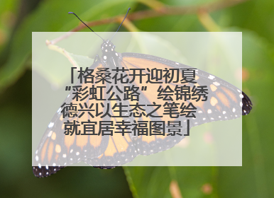 格桑花开迎初夏 “彩虹公路”绘锦绣 德兴以生态之笔绘就宜居幸福图景