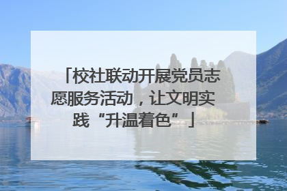 校社联动开展党员志愿服务活动，让文明实践“升温着色”