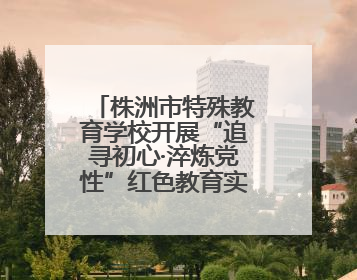 株洲市特殊教育学校开展“追寻初心·淬炼党性”红色教育实践活动