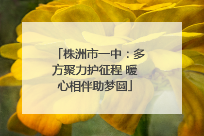 株洲市一中：多方聚力护征程 暖心相伴助梦圆