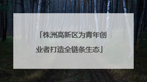 株洲高新区为青年创业者打造全链条生态