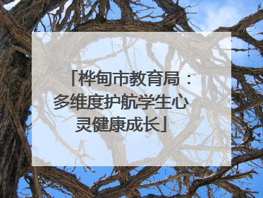 桦甸市教育局：多维度护航学生心灵健康成长