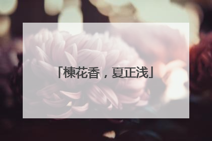 楝花香，夏正浅