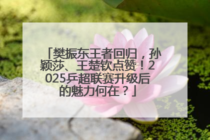 樊振东王者回归，孙颖莎、王楚钦点赞！2025乒超联赛升级后的魅力何在？