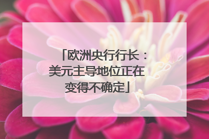 欧洲央行行长：美元主导地位正在变得不确定