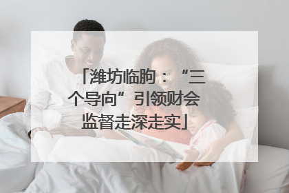 潍坊临朐：“三个导向”引领财会监督走深走实