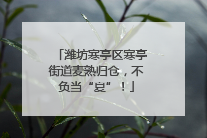 潍坊寒亭区寒亭街道麦熟归仓，不负当“夏”！
