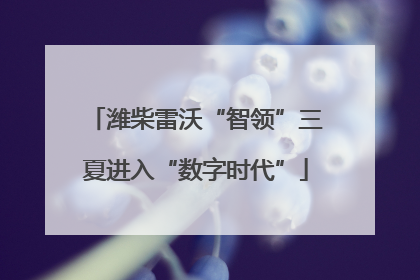潍柴雷沃“智领”三夏进入“数字时代”