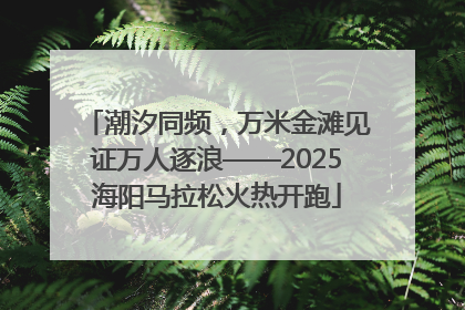潮汐同频，万米金滩见证万人逐浪——2025海阳马拉松火热开跑