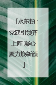 水东镇：党建引领齐上阵 凝心聚力焕新颜