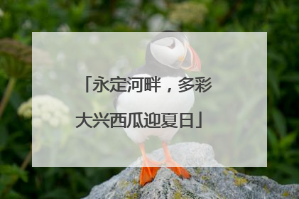 永定河畔，多彩大兴西瓜迎夏日