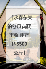永春东关镇冬瓜喜获丰收 亩产达5500公斤