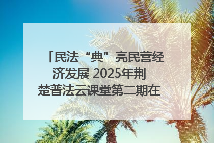 民法“典”亮民营经济发展 2025年荆楚普法云课堂第二期在武汉客厅开讲