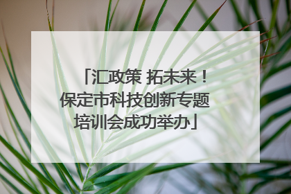 汇政策 拓未来！保定市科技创新专题培训会成功举办