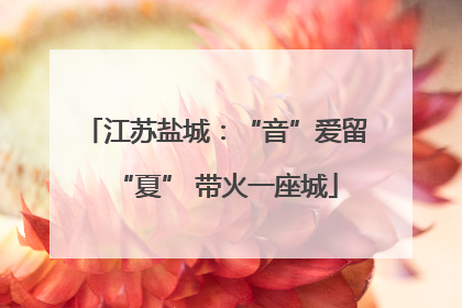 江苏盐城：“音”爱留“夏” 带火一座城
