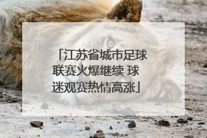 江苏省城市足球联赛火爆继续 球迷观赛热情高涨