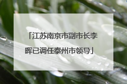江苏南京市副市长李晖已调任泰州市领导