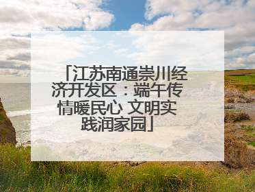 江苏南通崇川经济开发区:端午传情暖民心 文明实践润家园