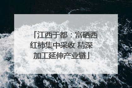 江西于都：富硒西红柿集中采收 精深加工延伸产业链