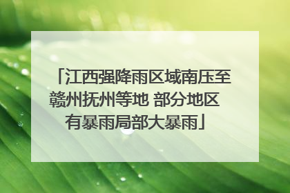 江西强降雨区域南压至赣州抚州等地 部分地区有暴雨局部大暴雨