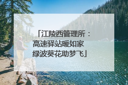 江陵西管理所：高速驿站暖如家 绿波葵花助梦飞