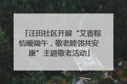 汪田社区开展“艾香粽情暖端午，敬老睦邻共安康”主题敬老活动