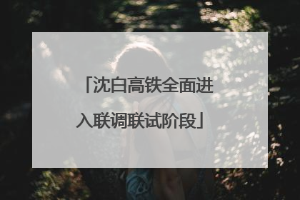沈白高铁全面进入联调联试阶段