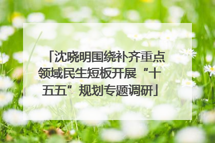沈晓明围绕补齐重点领域民生短板开展“十五五”规划专题调研