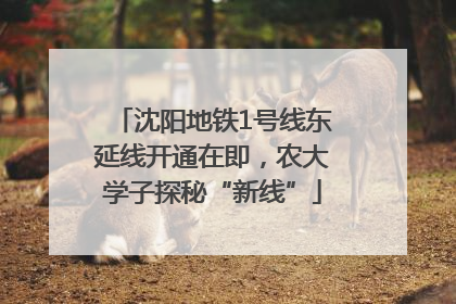 沈阳地铁1号线东延线开通在即，农大学子探秘“新线”