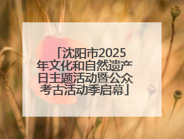 沈阳市2025年文化和自然遗产日主题活动暨公众考古活动季启幕