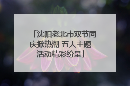沈阳老北市双节同庆掀热潮 五大主题活动精彩纷呈